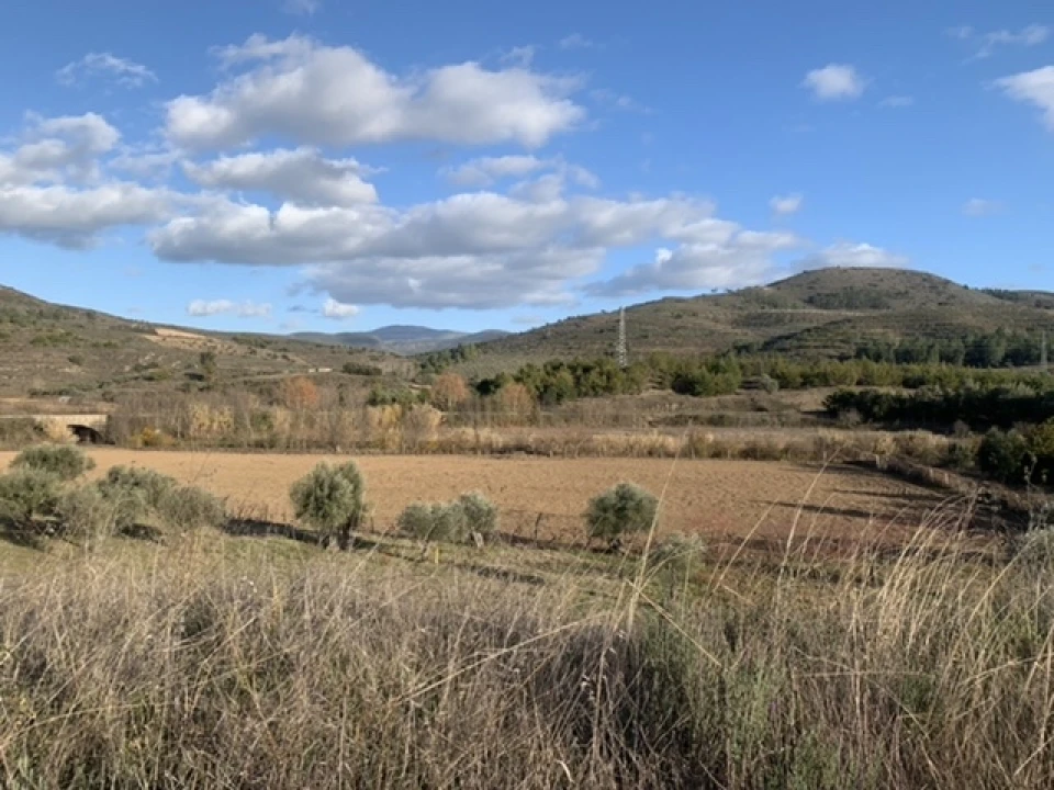 Terreno Agricola ou Rústico para Venda em Frechas Foto 19
