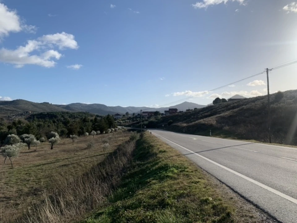 Terreno Agricola ou Rústico para Venda em Frechas Foto 10