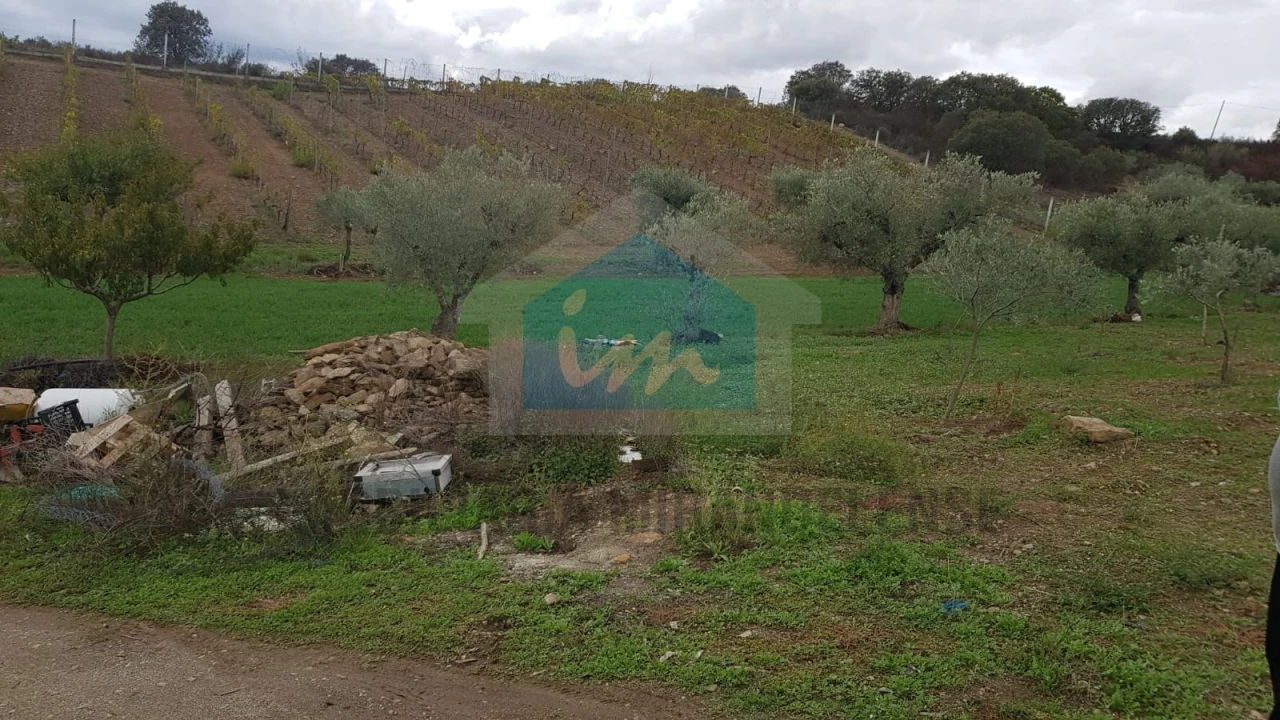 Terreno Agricola ou Rústico para Venda em Mirandela Foto 10