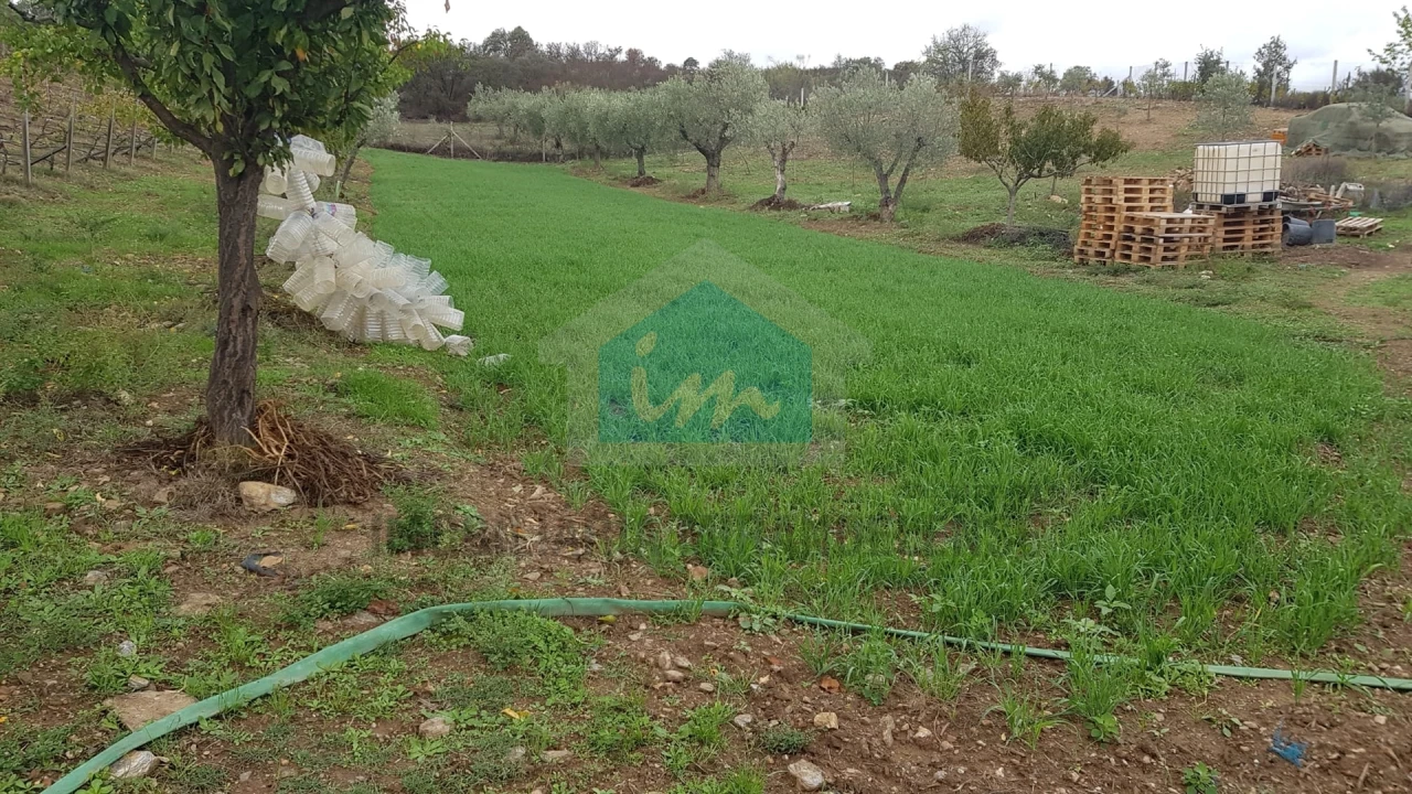 Terreno Agricola ou Rústico para Venda em Mirandela Foto 3