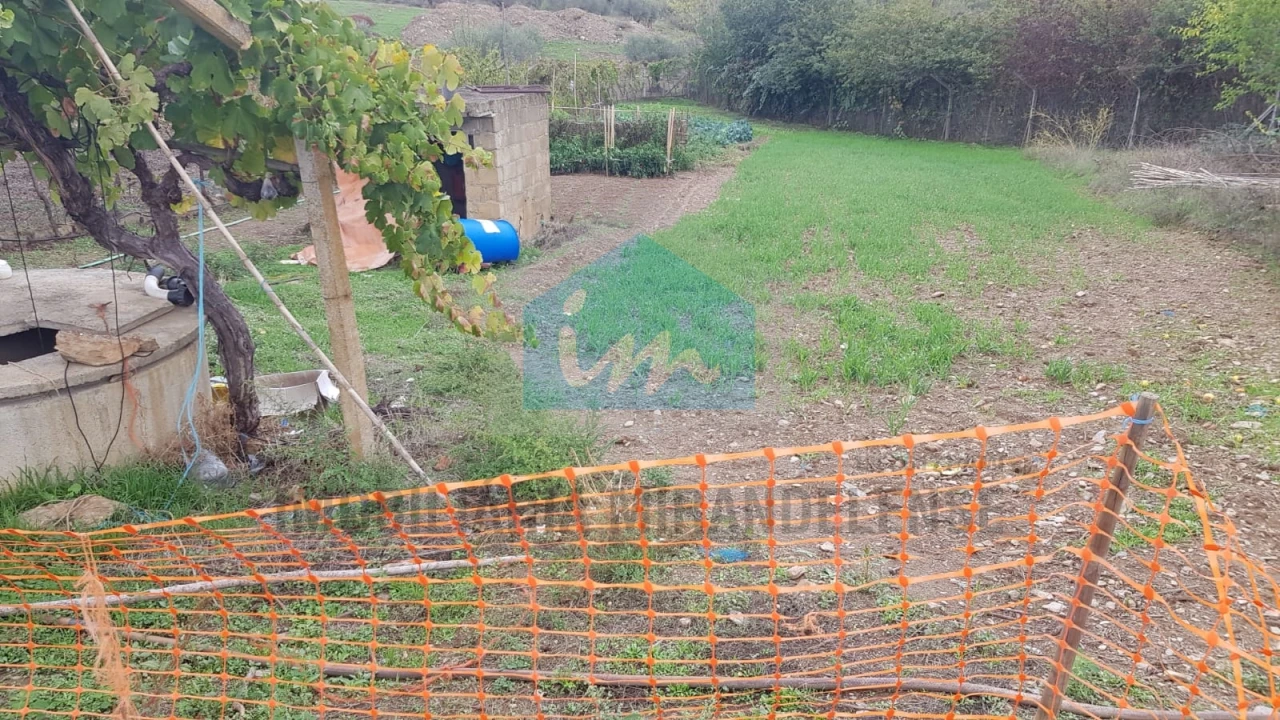 Terreno Agricola ou Rústico para Venda em Mirandela Foto 4