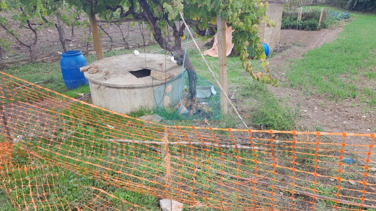 Terreno Agricola ou Rústico para Venda em Mirandela Foto 7