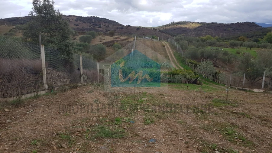 Terreno Agricola ou Rústico para Venda em Mirandela Foto 12
