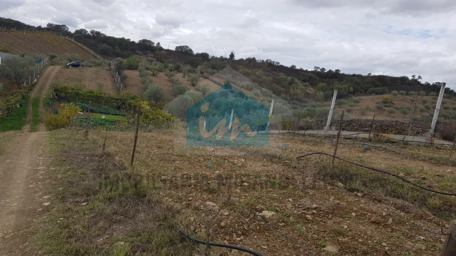 Terreno Agricola ou Rústico para Venda em Mirandela Foto 14