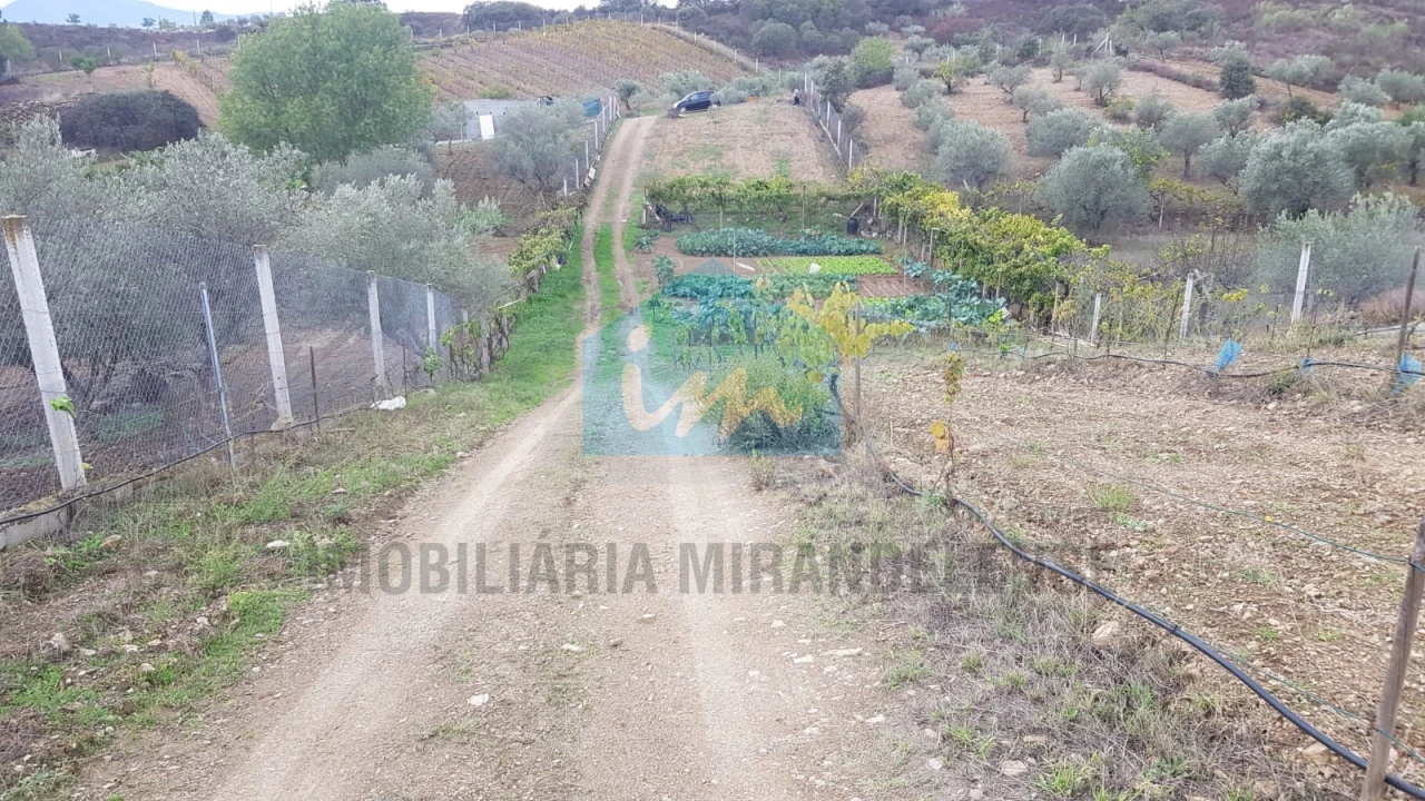 Terreno Agricola ou Rústico para Venda em Mirandela Foto 1