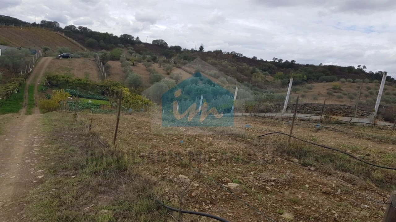 Terreno Agricola ou Rústico para Venda em Mirandela Foto 14