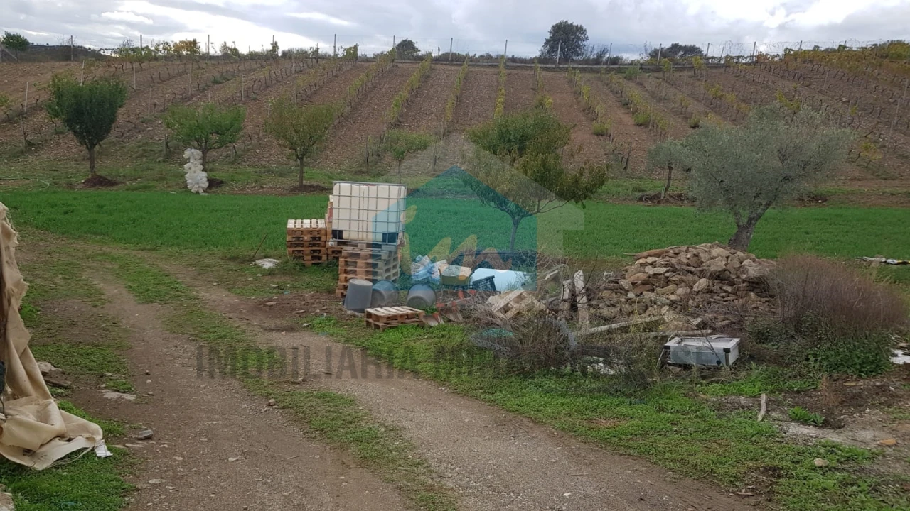 Terreno Agricola ou Rústico para Venda em Mirandela Foto 9