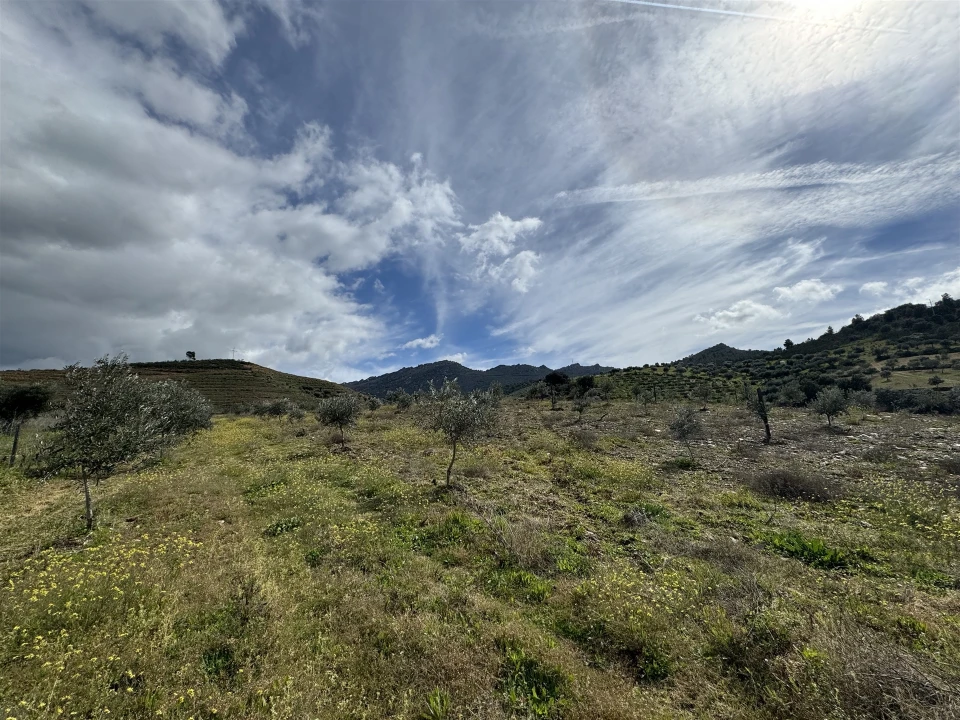 Terreno para Venda em Vilas Boas e Vilarinho das Azenhas Foto 22