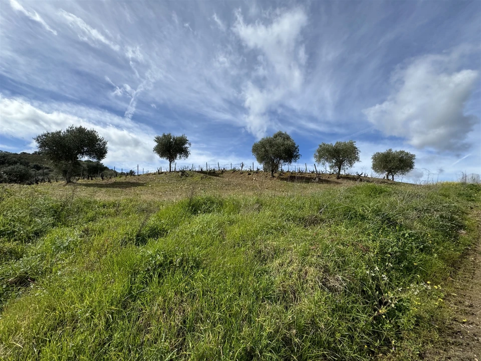 Terreno para Venda em Vilas Boas e Vilarinho das Azenhas Foto 10