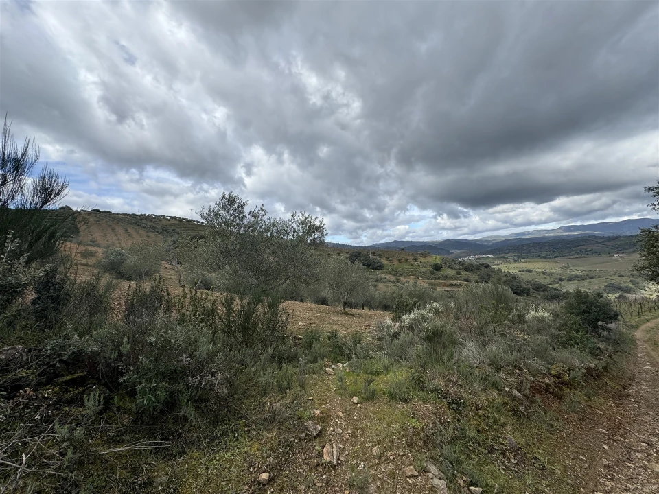 Terreno para Venda em Vilas Boas e Vilarinho das Azenhas Foto 4