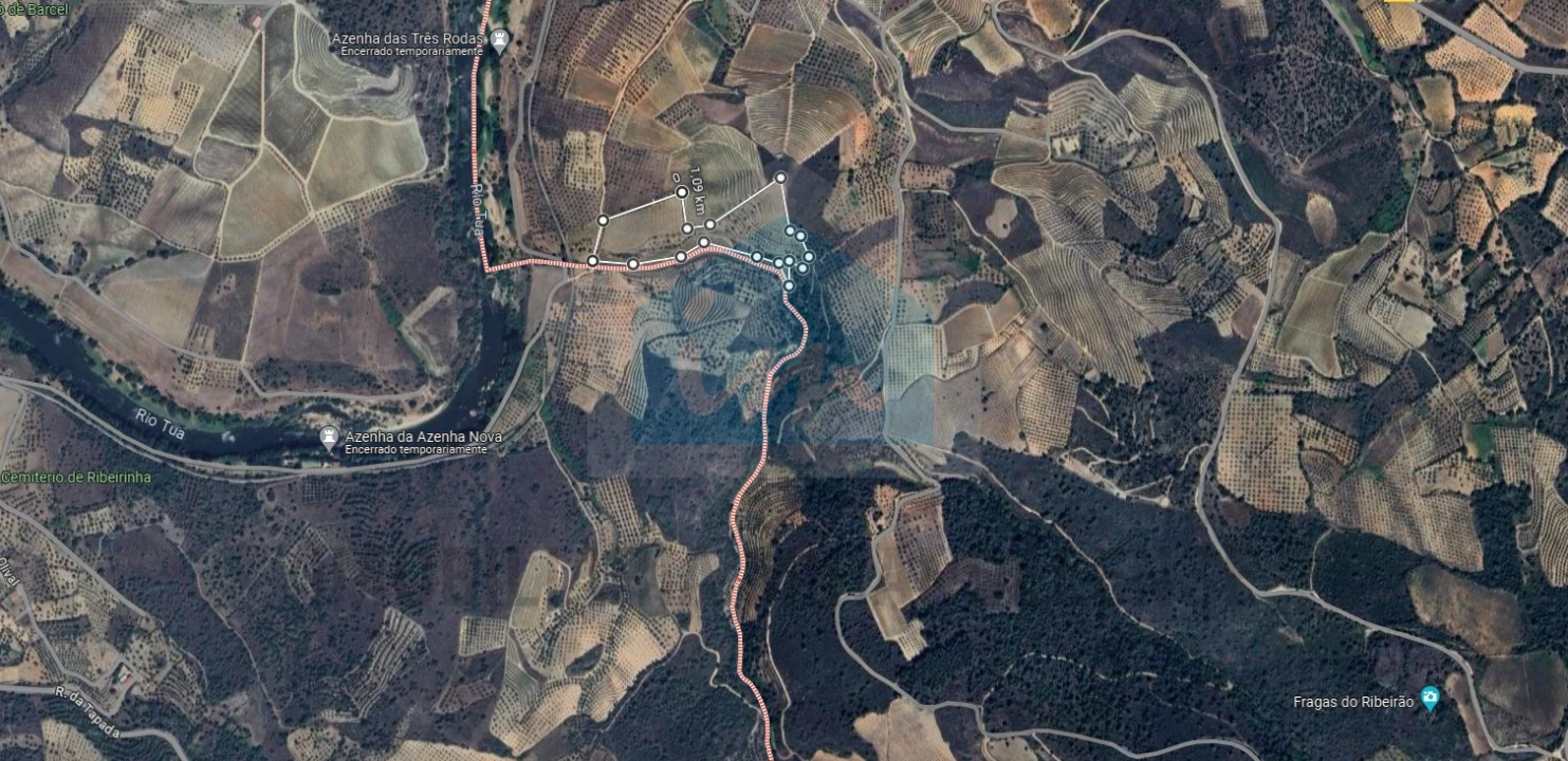 Terreno para Venda em Vilas Boas e Vilarinho das Azenhas Foto 23