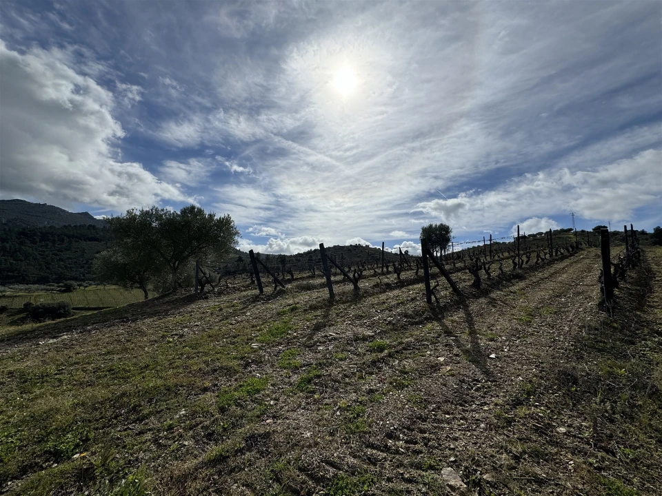 Terreno para Venda em Vilas Boas e Vilarinho das Azenhas Foto 11