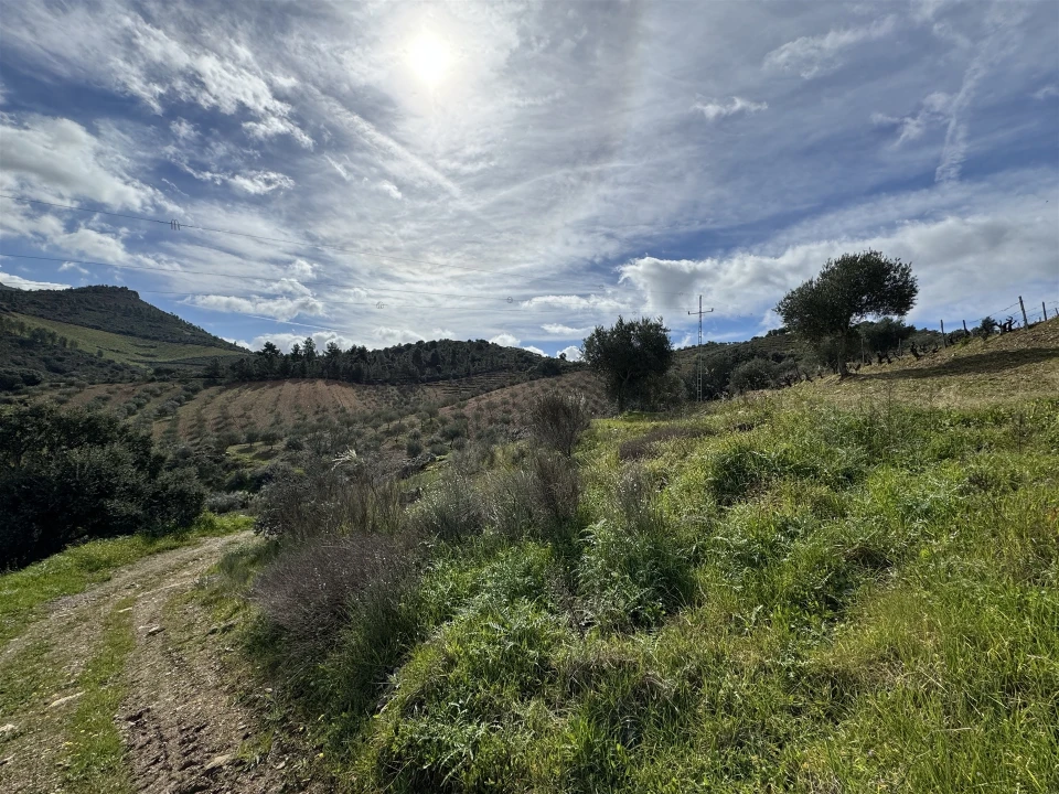 Terreno para Venda em Vilas Boas e Vilarinho das Azenhas Foto 9