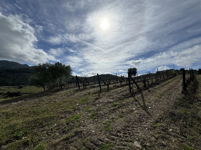 Terreno para Venda em Vilas Boas e Vilarinho das Azenhas Foto 11