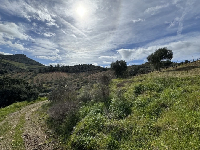 Terreno para Venda em Vilas Boas e Vilarinho das Azenhas Foto 9