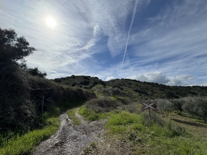 Terreno para Venda em Vilas Boas e Vilarinho das Azenhas Foto 18