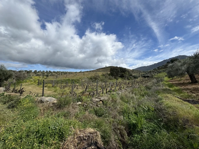 Terreno para Venda em Vilas Boas e Vilarinho das Azenhas Foto 19