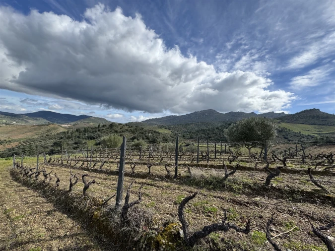Terreno para Venda em Vilas Boas e Vilarinho das Azenhas