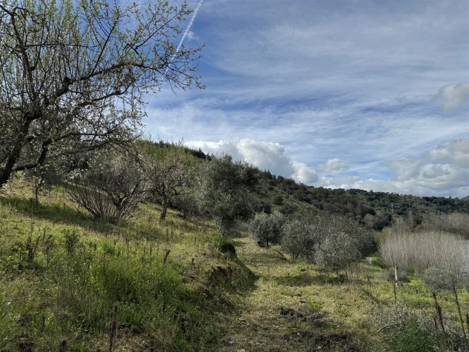 Terreno para Venda em Vilas Boas e Vilarinho das Azenhas Foto 17