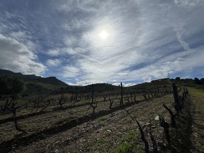 Terreno para Venda em Vilas Boas e Vilarinho das Azenhas Foto 13