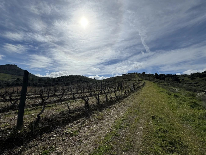 Terreno para Venda em Vilas Boas e Vilarinho das Azenhas Foto 15
