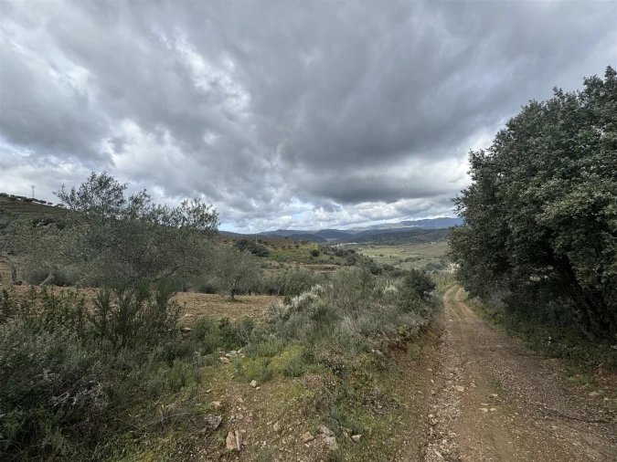 Terreno para Venda em Vilas Boas e Vilarinho das Azenhas Foto 5