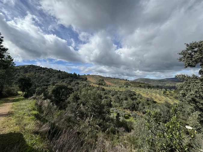 Terreno para Venda em Vilas Boas e Vilarinho das Azenhas Foto 2