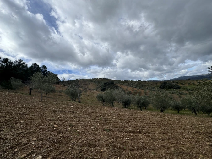Terreno para Venda em Vilas Boas e Vilarinho das Azenhas Foto 6