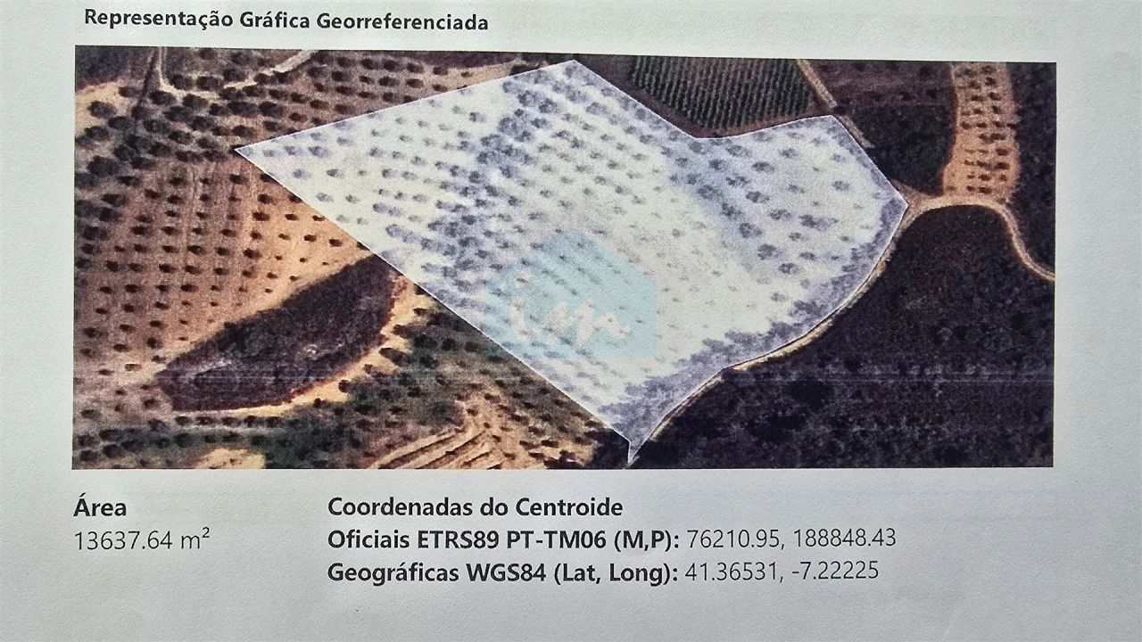 Terreno para Venda em Vilas Boas e Vilarinho das Azenhas Foto 31