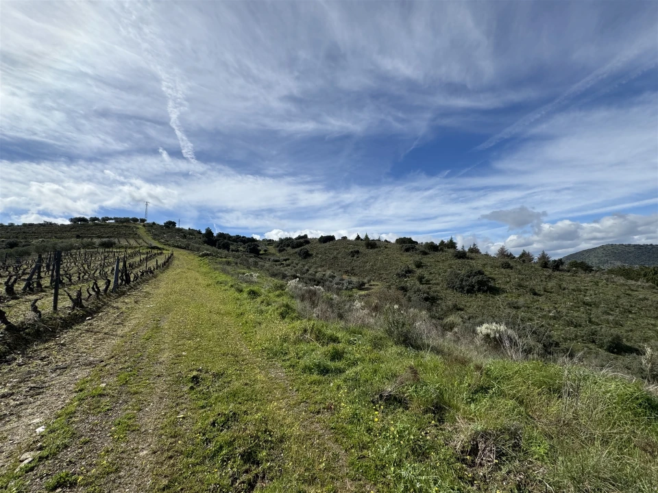Terreno para Venda em Vilas Boas e Vilarinho das Azenhas Foto 16