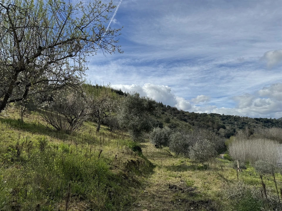 Terreno para Venda em Vilas Boas e Vilarinho das Azenhas Foto 17