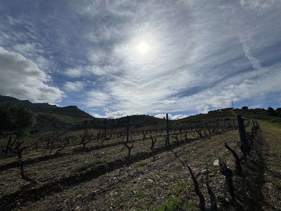 Terreno para Venda em Vilas Boas e Vilarinho das Azenhas Foto 13