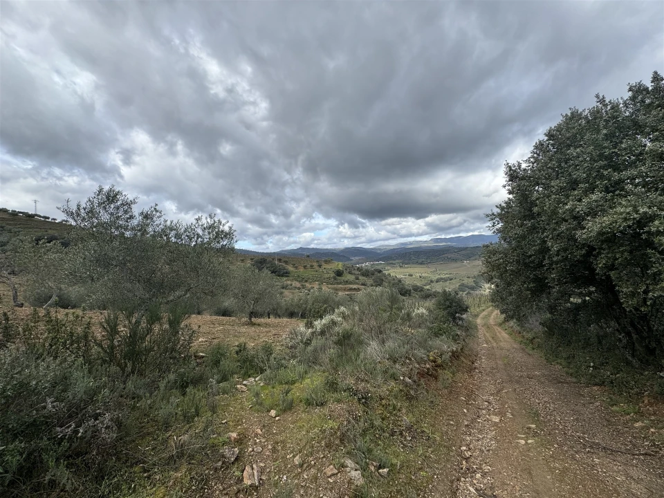 Terreno para Venda em Vilas Boas e Vilarinho das Azenhas Foto 5