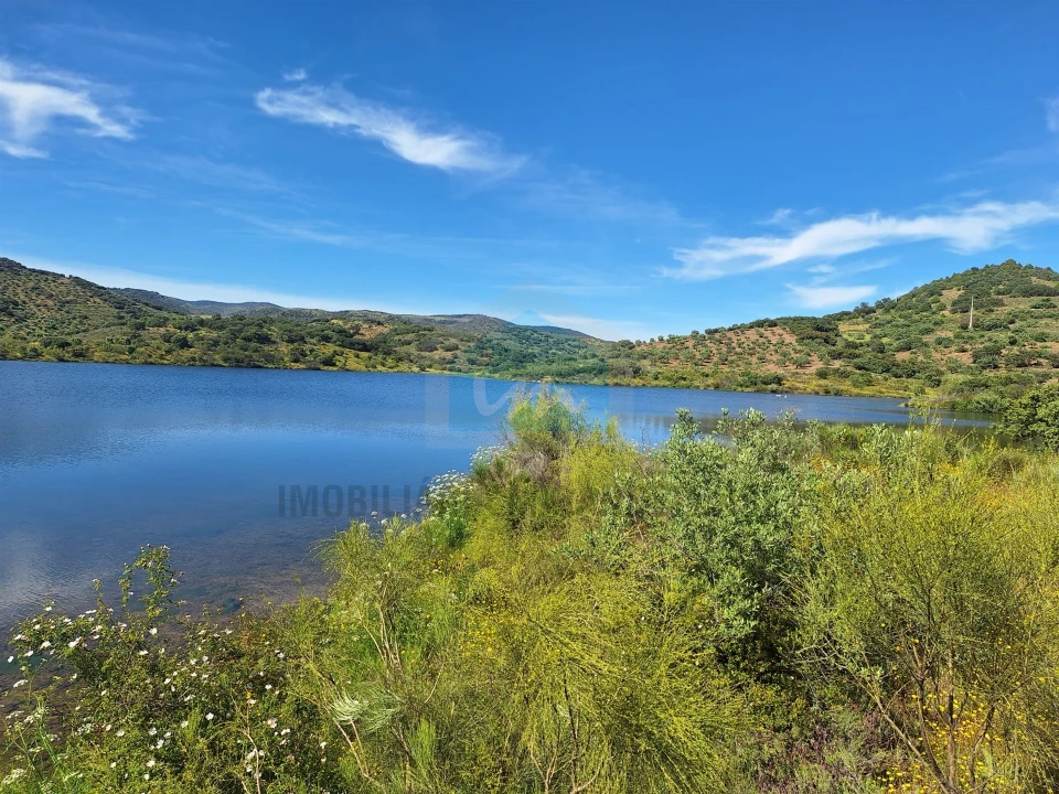 Terreno para Venda em Vila Flor e Nabo Foto 4