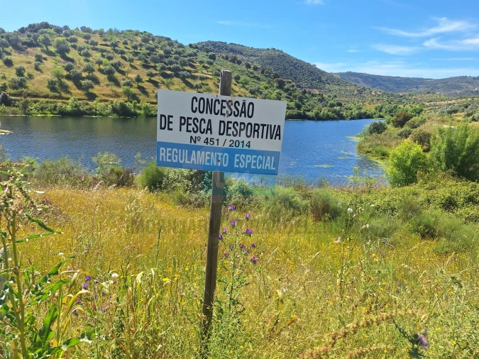 Terreno para Venda em Vila Flor e Nabo Foto 3
