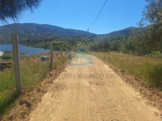 Terreno para Venda em Vila Flor e Nabo Foto 9