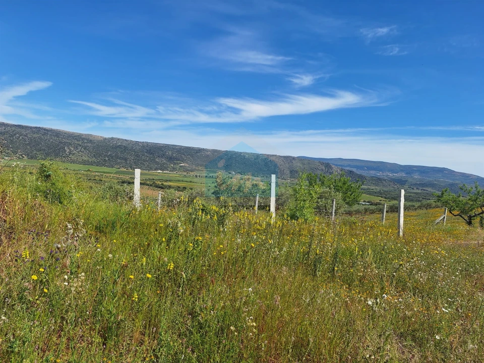 Terreno para Venda em Vila Flor e Nabo Foto 17