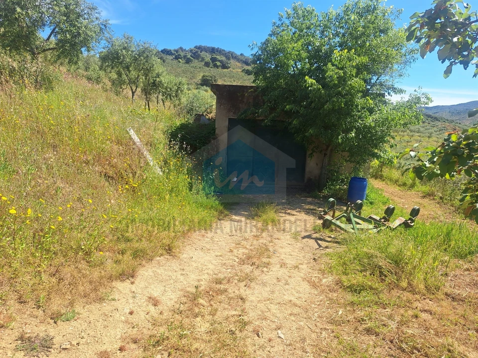 Terreno para Venda em Vila Flor e Nabo Foto 16