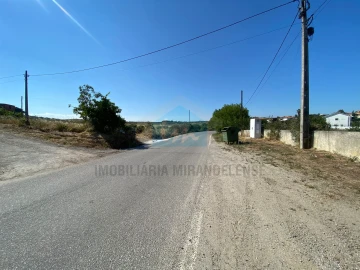 Terreno para Venda em Carvalhais