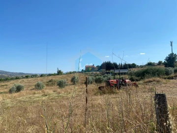 Terreno para Venda em Carvalhais