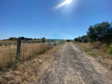 Terreno para Venda em Carvalhais