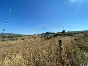 Terreno para Venda em Carvalhais