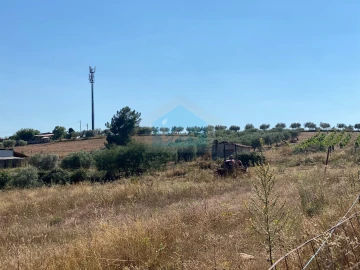 Terreno para Venda em Carvalhais