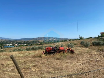 Terreno para Venda em Carvalhais