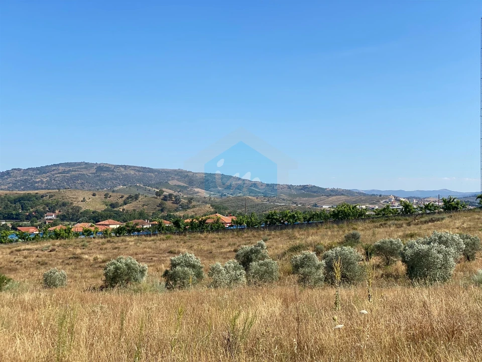 Terreno para Venda em Carvalhais Foto 11