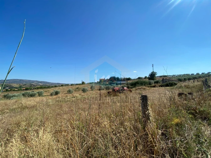Terreno para Venda em Carvalhais Foto 4