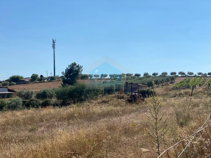Terreno para Venda em Carvalhais Foto 10