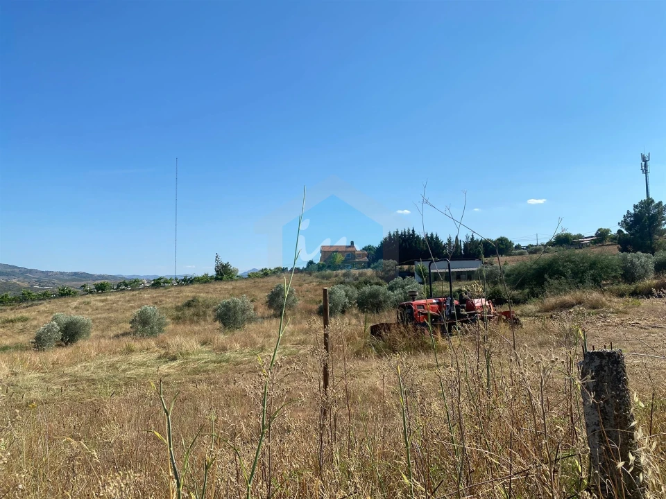 Terreno para Venda em Carvalhais Foto 3