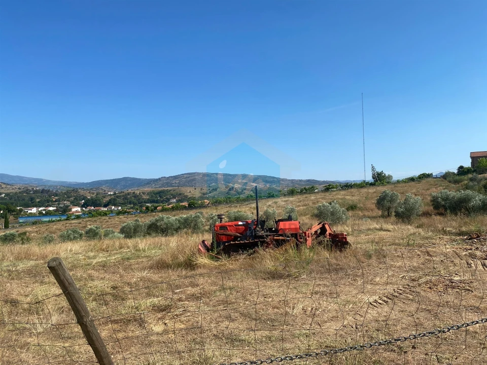 Terreno para Venda em Carvalhais Foto 7