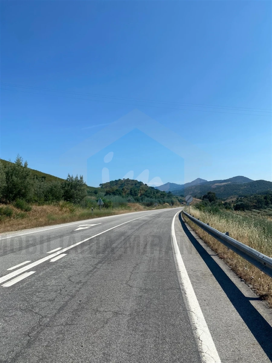 Terreno para Venda em São Salvador Foto 3